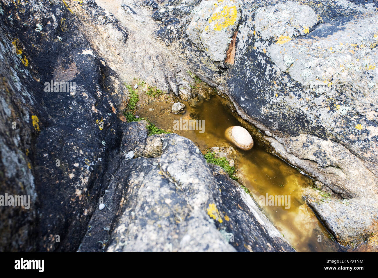 Una pietra solitario verso sinistra di un oscuro rock pool su una spiaggia in Cornwall, Regno Unito Foto Stock