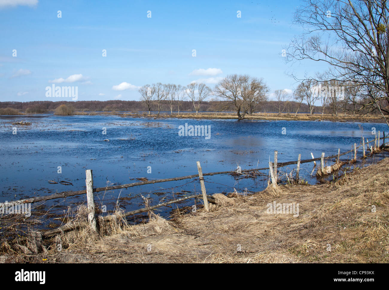 Avvolgimenti del fiume Biebrza, Polonia, Podlasie Foto Stock