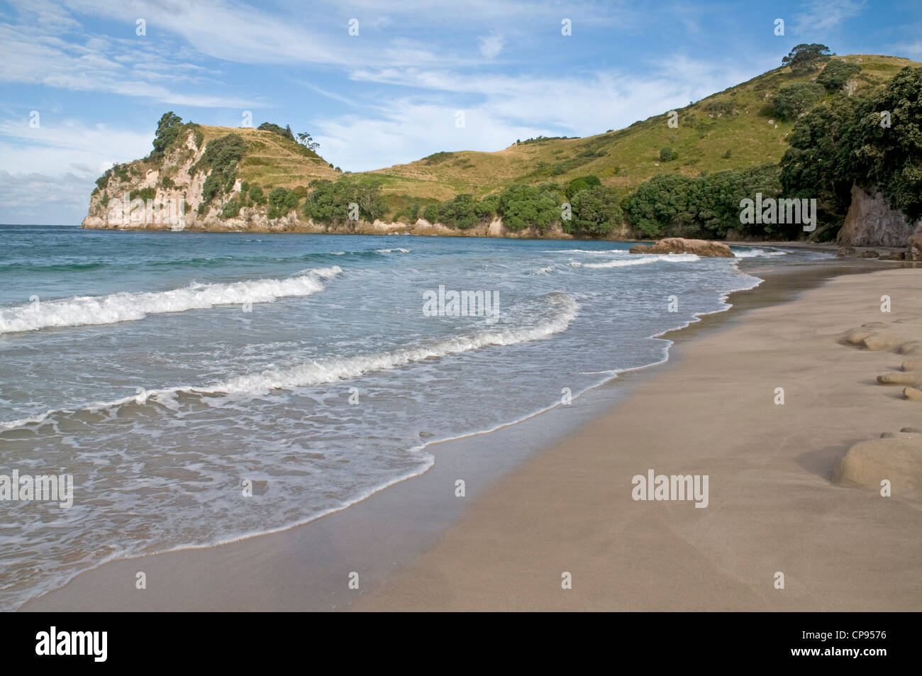 Hahei beach, vicino a Whitianga sulla costa del Pacifico della Penisola di Coromandel. Nuova Zelanda Foto Stock