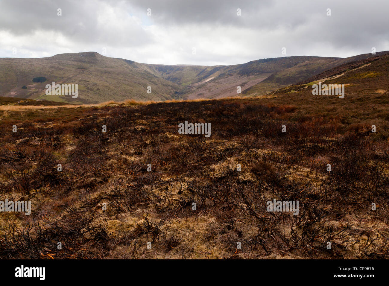 Fire-danneggiato moor sul bordo meridionale di Kinder Scout, Derbyshire, Peak District, England, Regno Unito Foto Stock