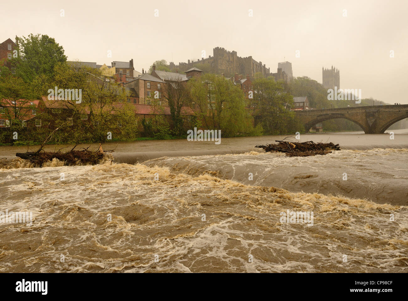 Usura del fiume durham nel diluvio Foto Stock