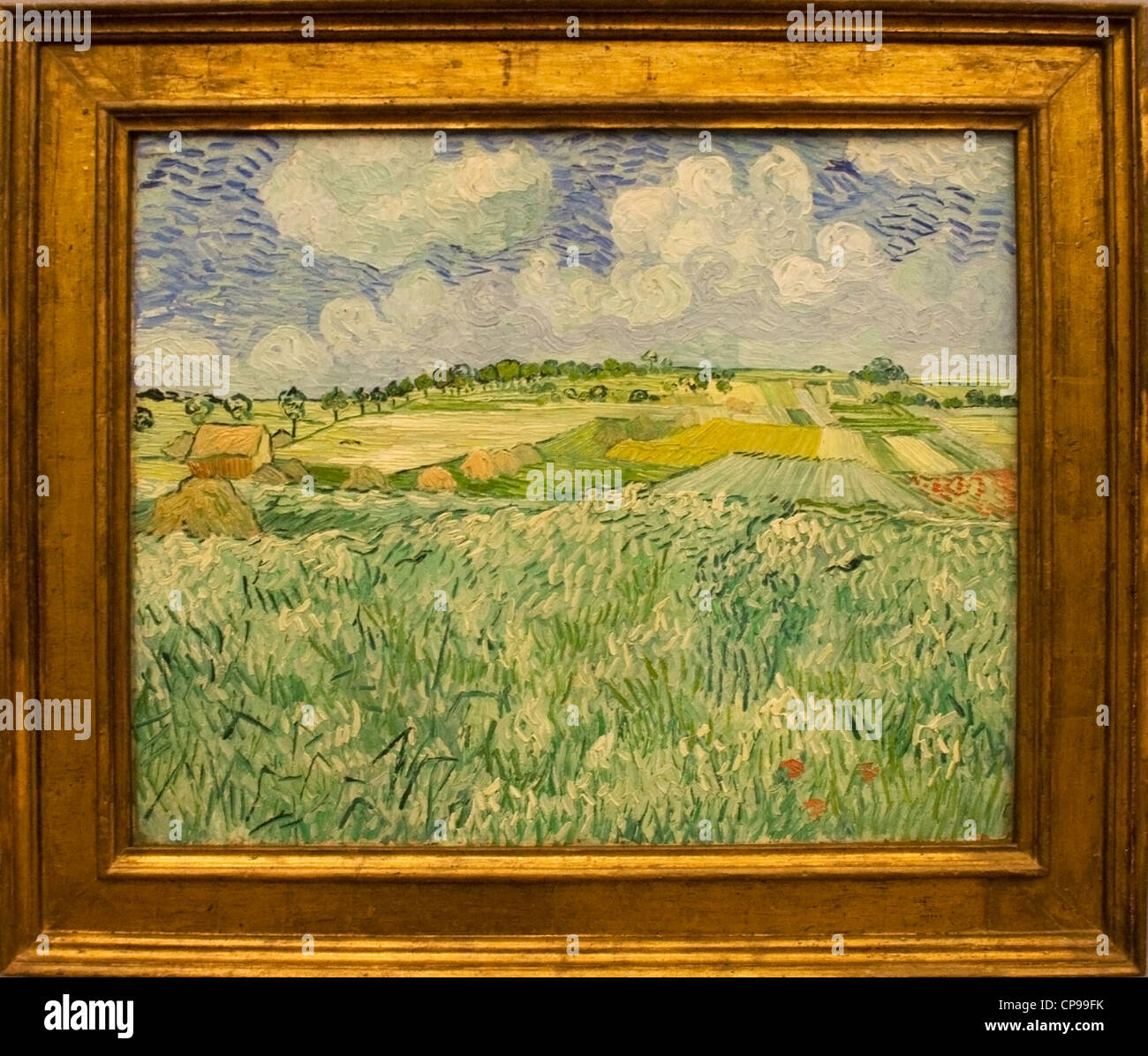 Vincent van Gogh Foto Stock