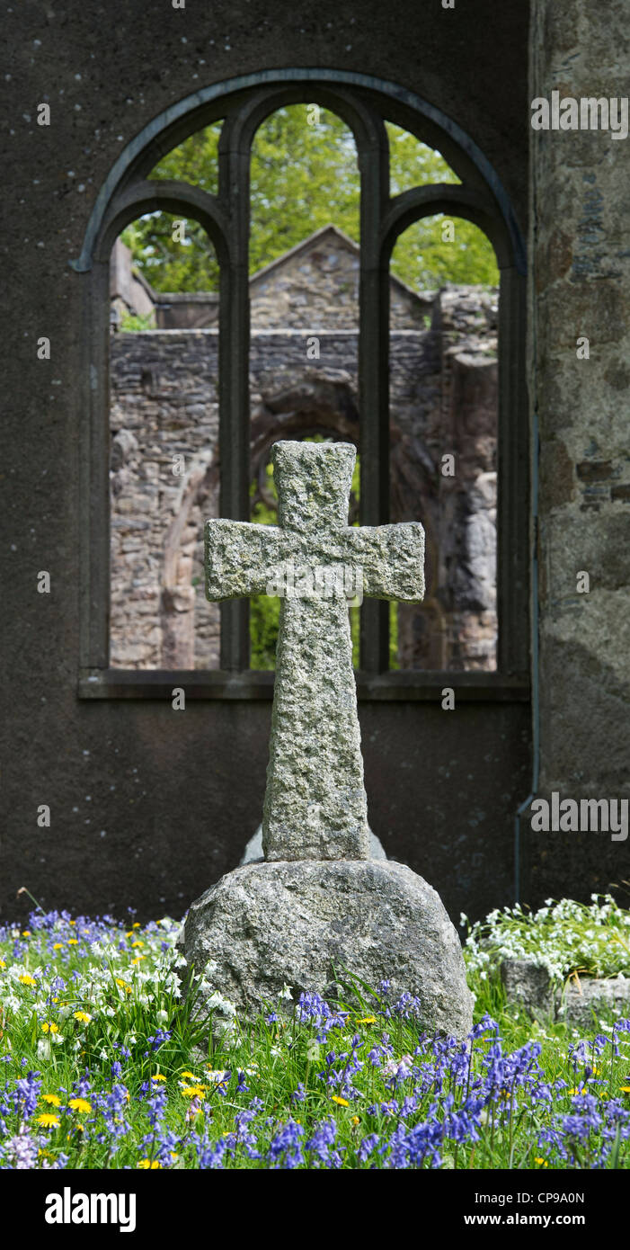 Croce di pietra tombale nella Santa Trinità sagrato, Buckfastleigh, Devon, Inghilterra Foto Stock