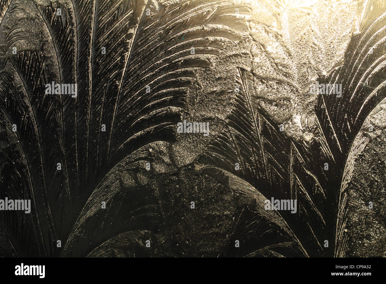 Modelli di ghiaccio sul vetro freddo Foto Stock