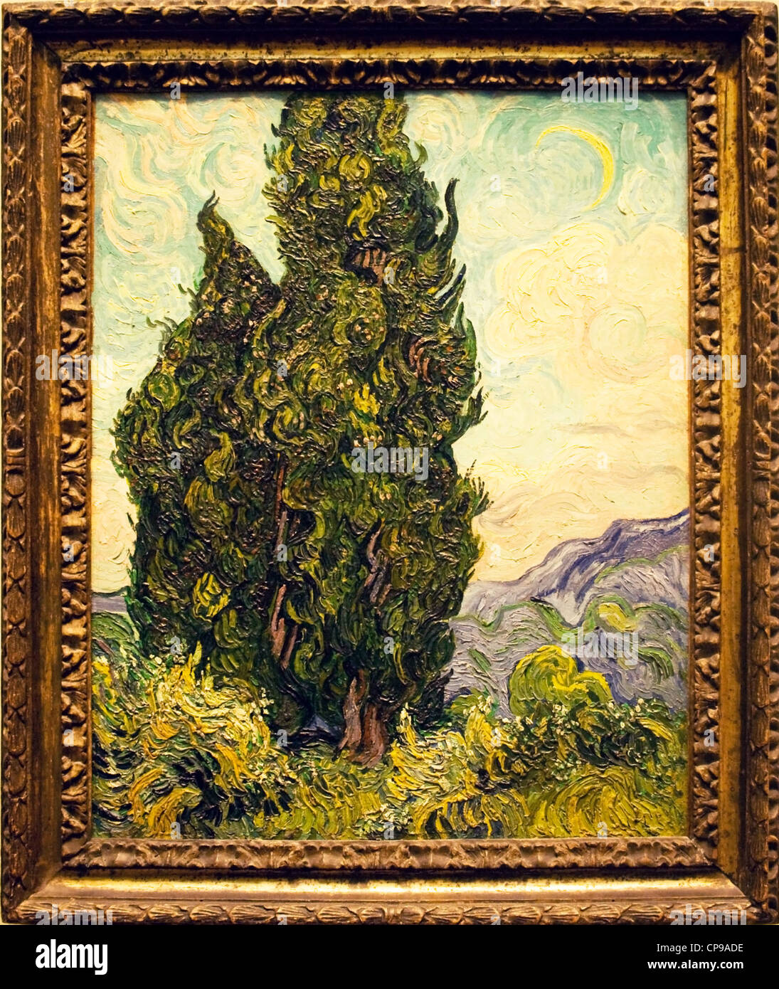 Cipressi (Van Gogh) Foto Stock