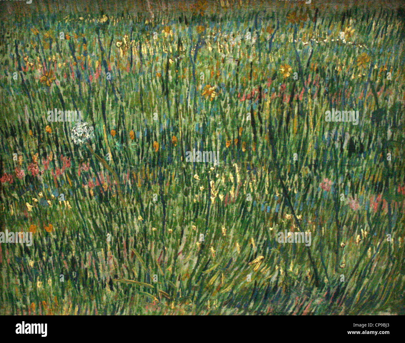 Vincent van Gogh Foto Stock