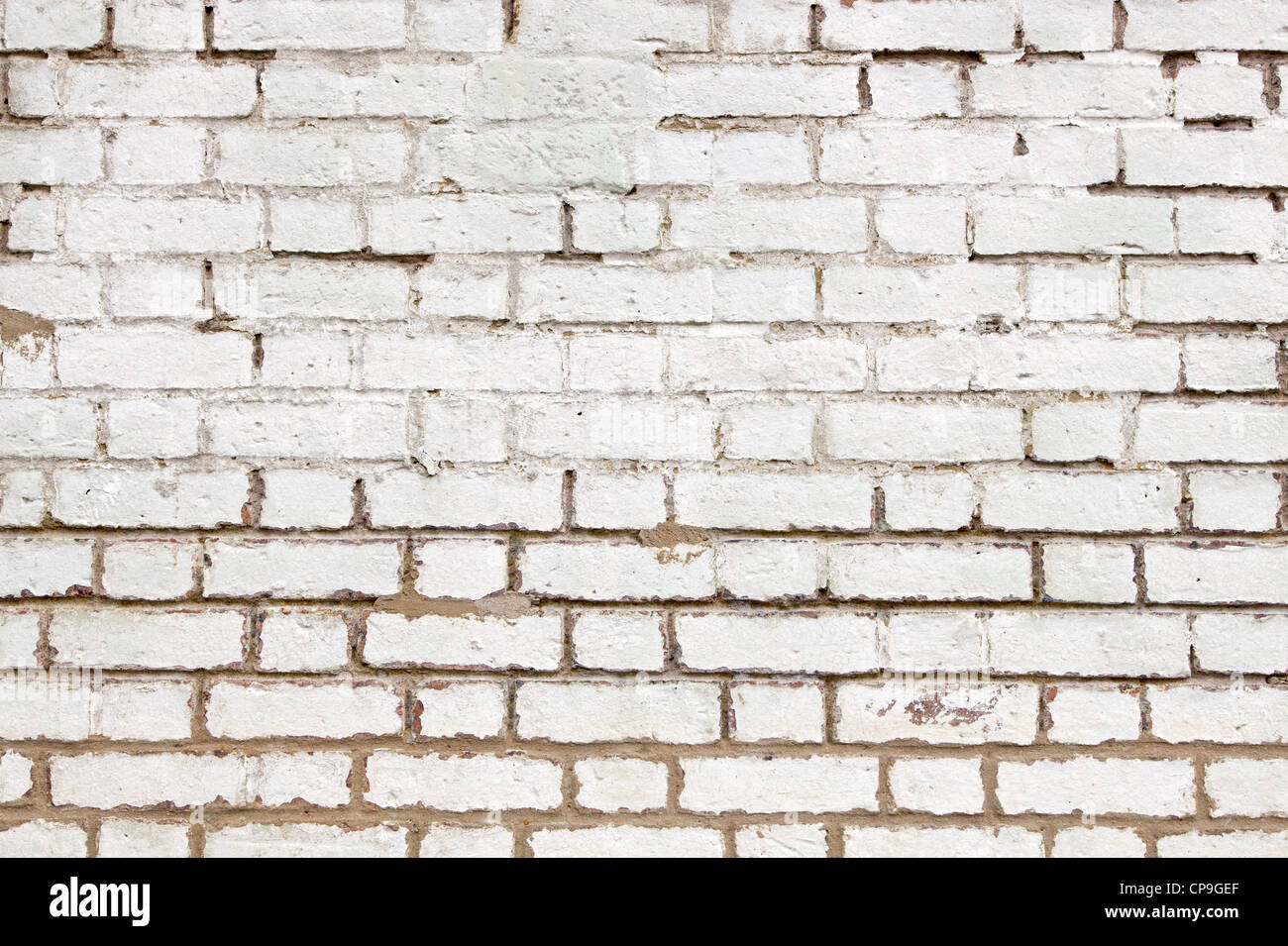 Vecchio weathered muro di mattoni della vernice bianca per chiudere. Foto Stock