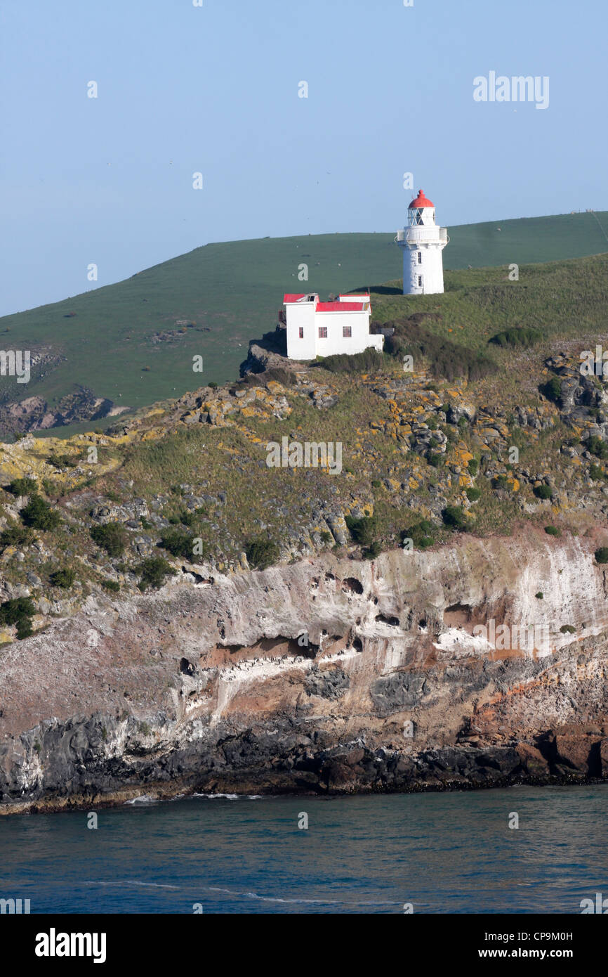 Nuova Zelanda, Isola del Sud, Penisola di Otago come visto dal mare Foto Stock