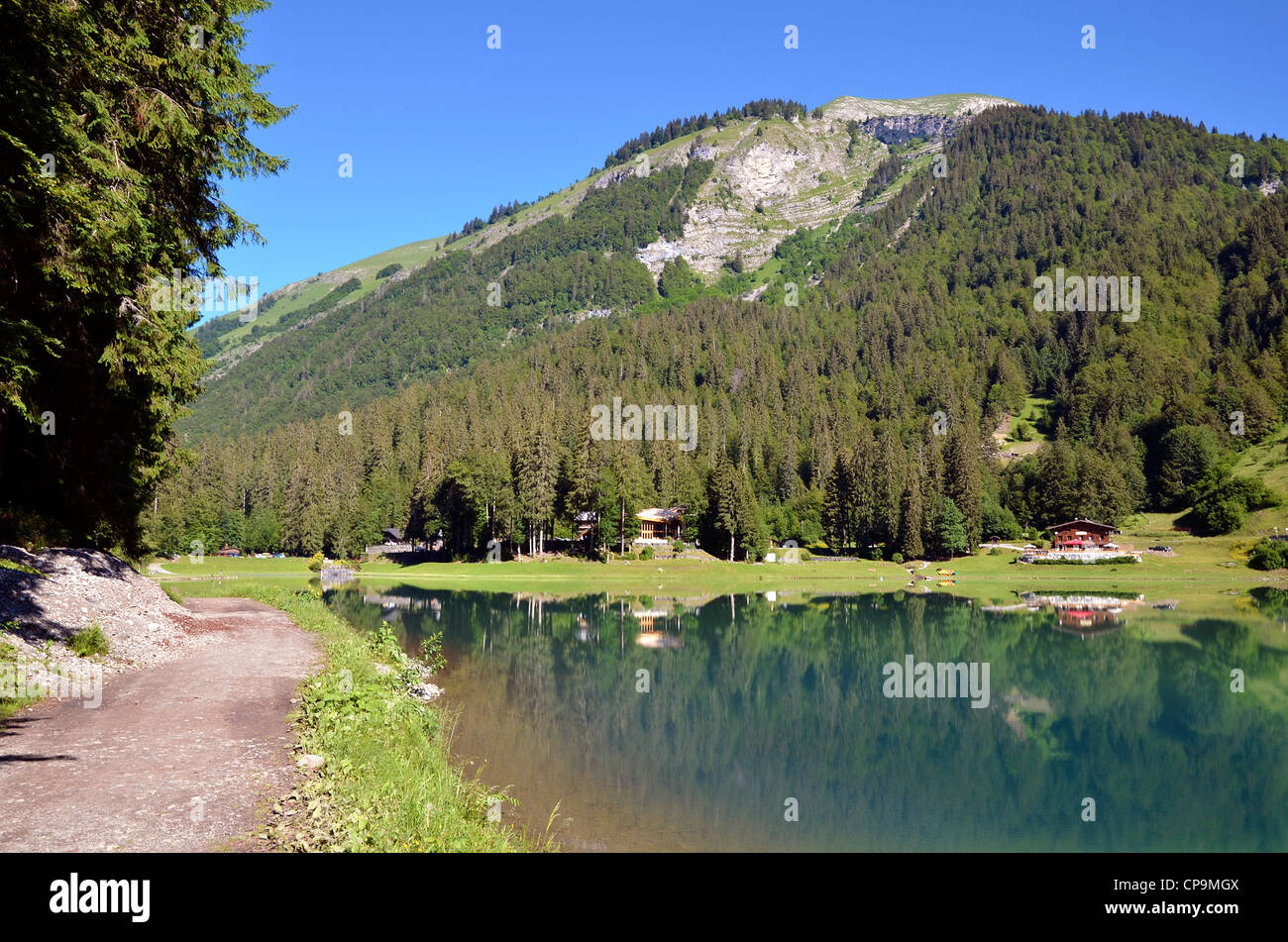 Lago di Montriond in Francia nel dipartimento dell'Alta Savoia nella regione Rhône-Alpes Foto Stock