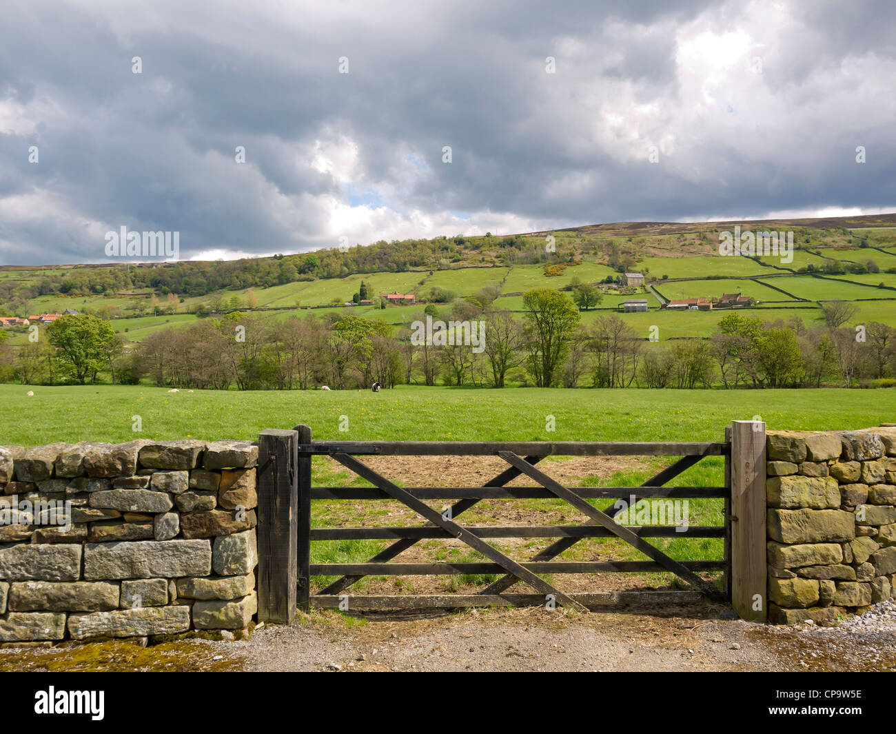 Un campo ingresso con cinque sbarrata dal cancello Fryup in Dale in North Yorkshire Moors National Park in primavera Foto Stock