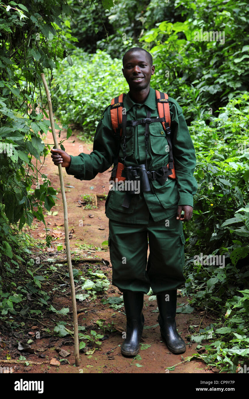 Ange Imanishimwe, un naturalista e guida, lavorando in Nyungwe National Park in Ruanda. Foto Stock