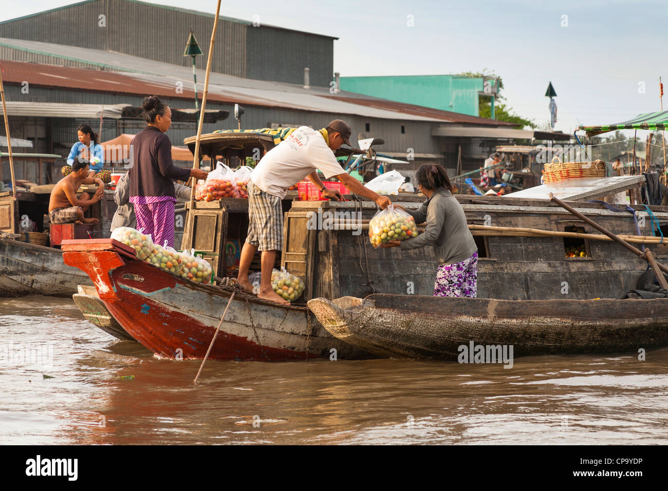 Gente che vende i pomodori da una barca nel mercato galleggiante, Cai Rang vicino a Can Tho, Fiume Mekong Delta, Vietnam Foto Stock