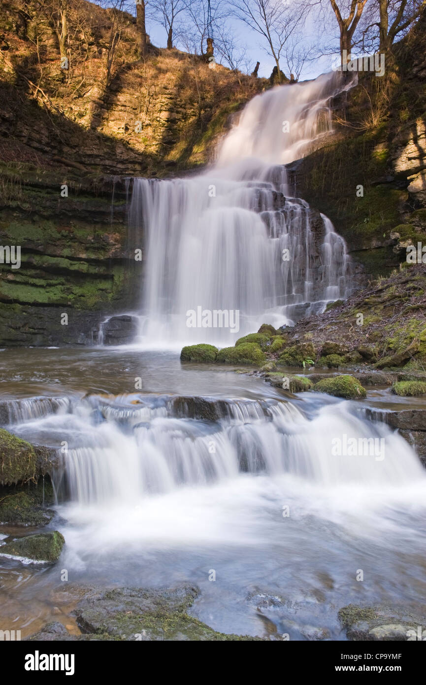 Forza Scaleber cascata in un idilliaco paesaggio tranquillo (acqua di ruscello che scorre sulla parete rocciosa in stagno vicino a Settle, Yorkshire Dales, Inghilterra, Regno Unito). Foto Stock