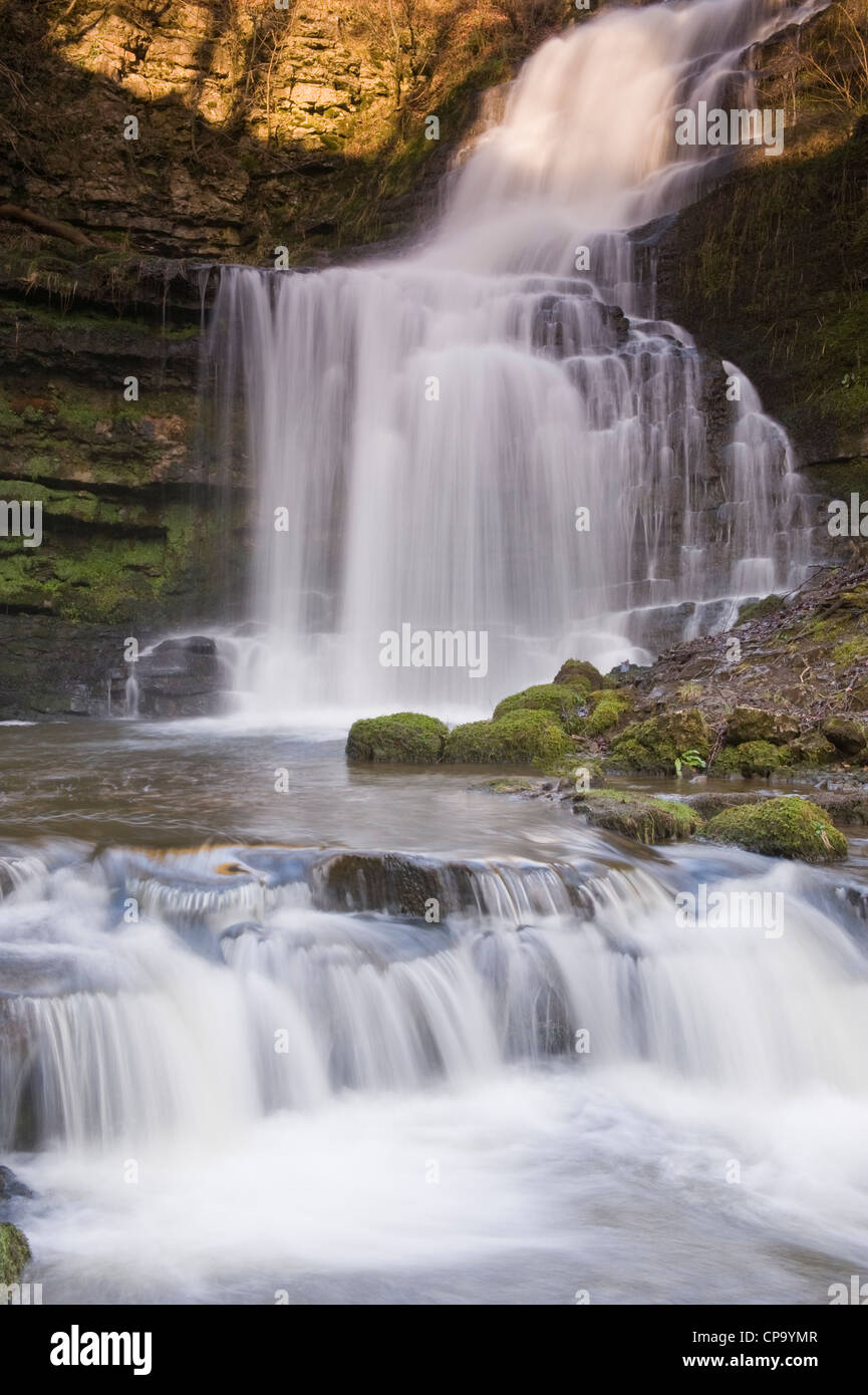 Forza Scaleber cascata in un idilliaco paesaggio tranquillo (acqua di ruscello che scorre sulla parete rocciosa in stagno vicino a Settle, Yorkshire Dales, Inghilterra, Regno Unito). Foto Stock