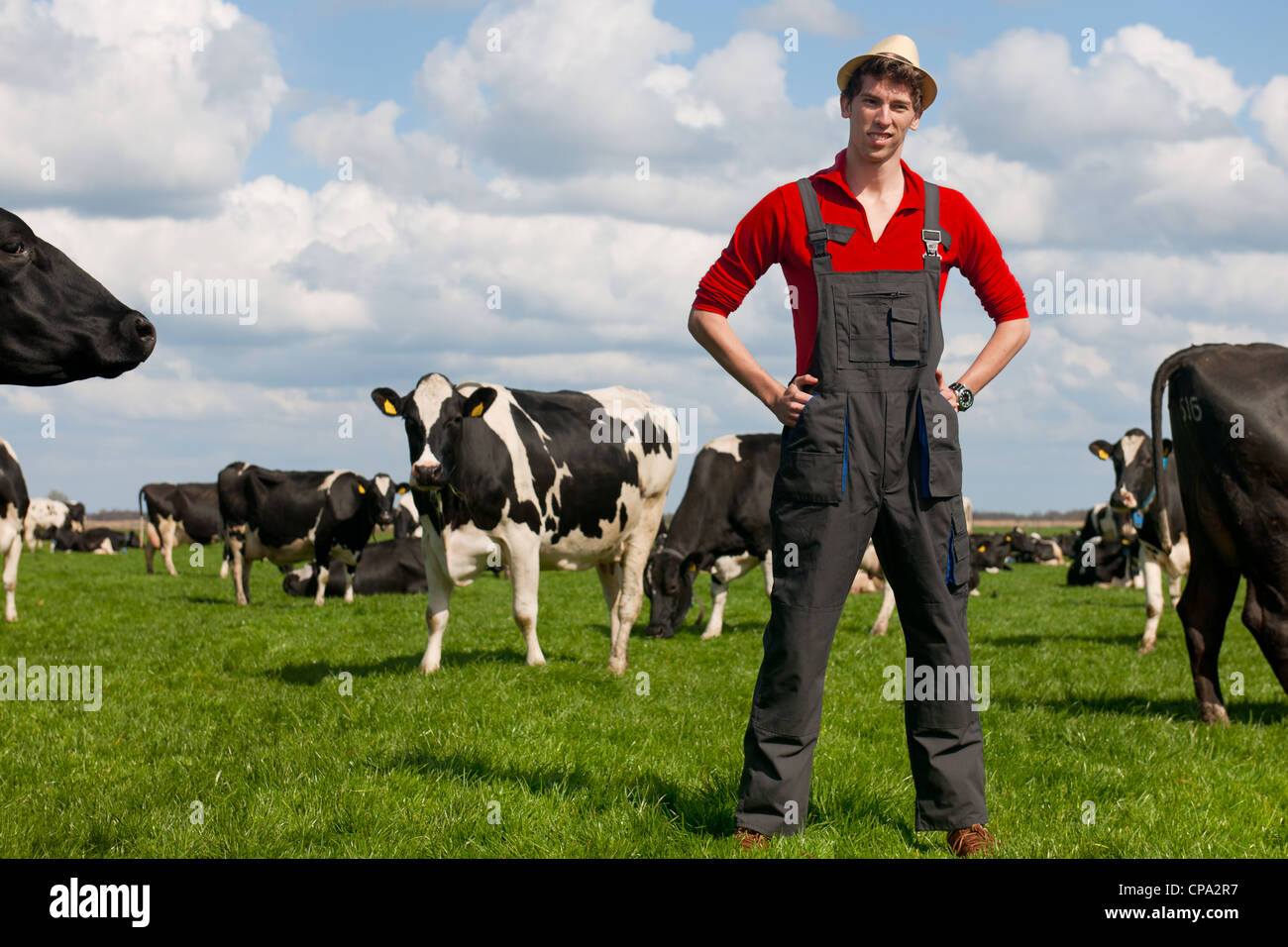 Giovane agricoltore in campo con allevamento di mucche Foto Stock