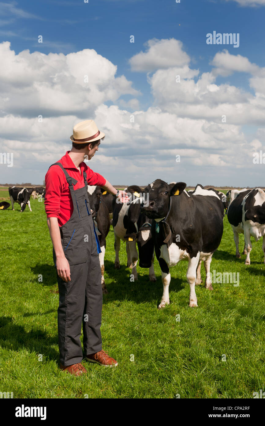 Giovane agricoltore in campo con allevamento di mucche Foto Stock