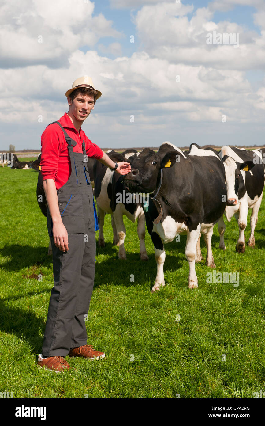 Giovane agricoltore in campo con allevamento di mucche Foto Stock
