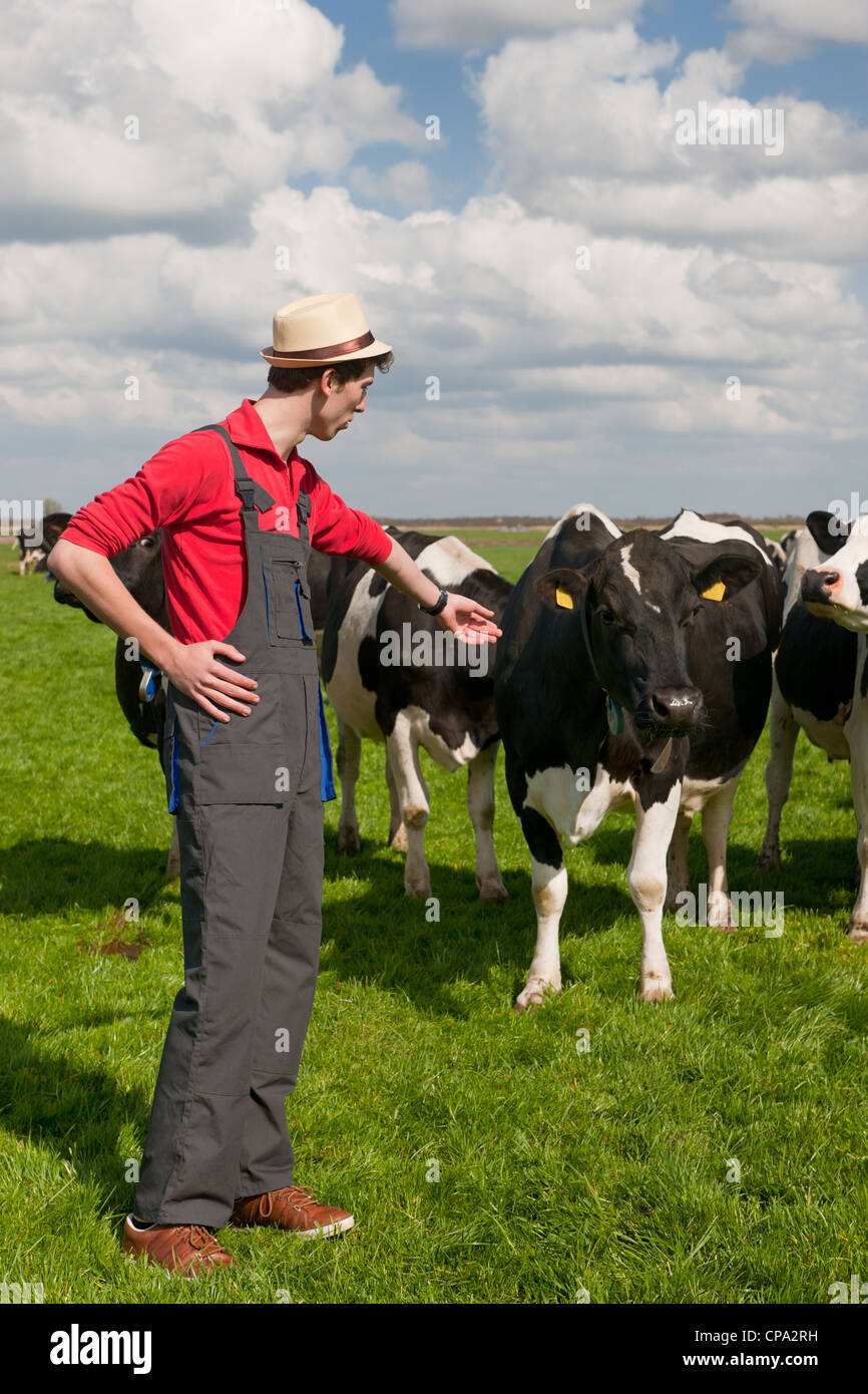 Giovane agricoltore in campo con allevamento di mucche Foto Stock