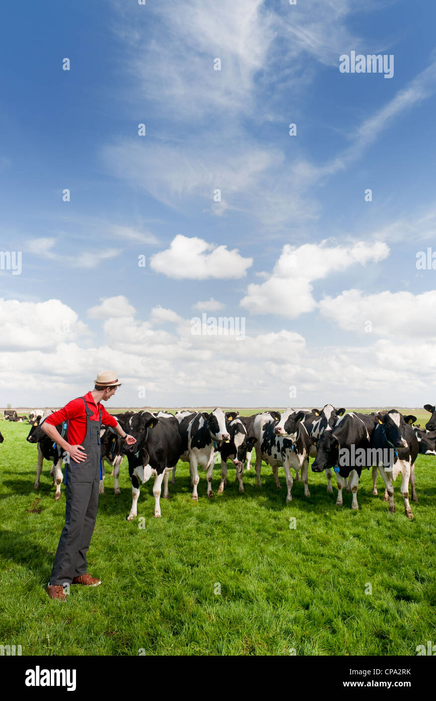 Giovane agricoltore in campo con allevamento di mucche Foto Stock