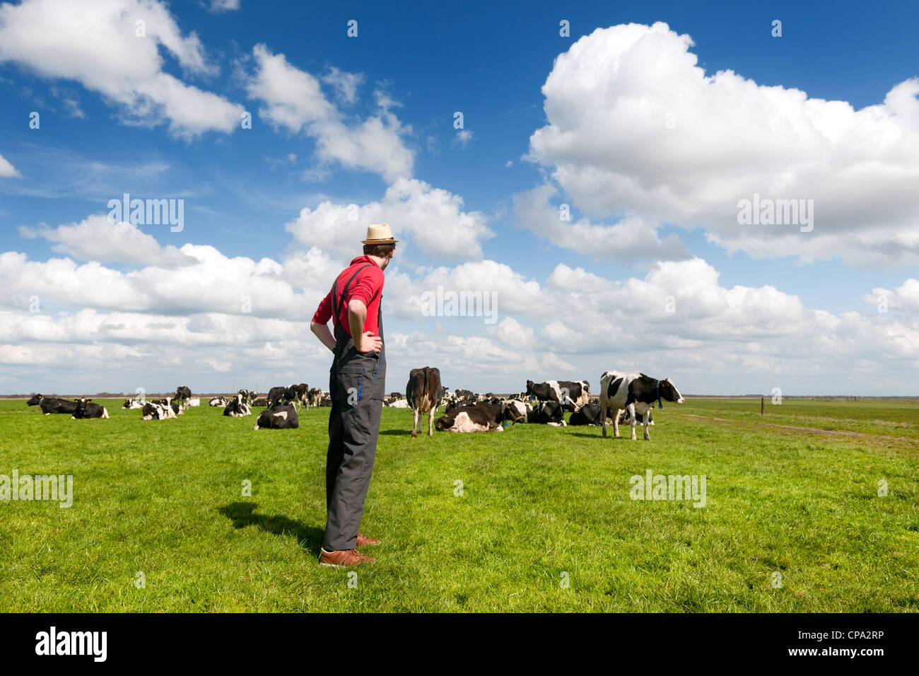 Tipico paesaggio olandese con il contadino e in bianco e nero di mucche nei prati Foto Stock