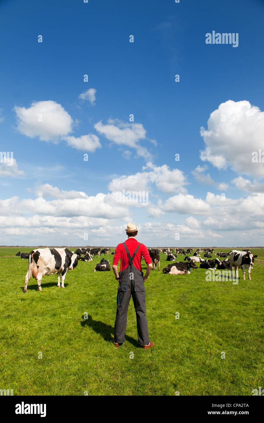 Tipico paesaggio olandese con il contadino e in bianco e nero di mucche nei prati Foto Stock