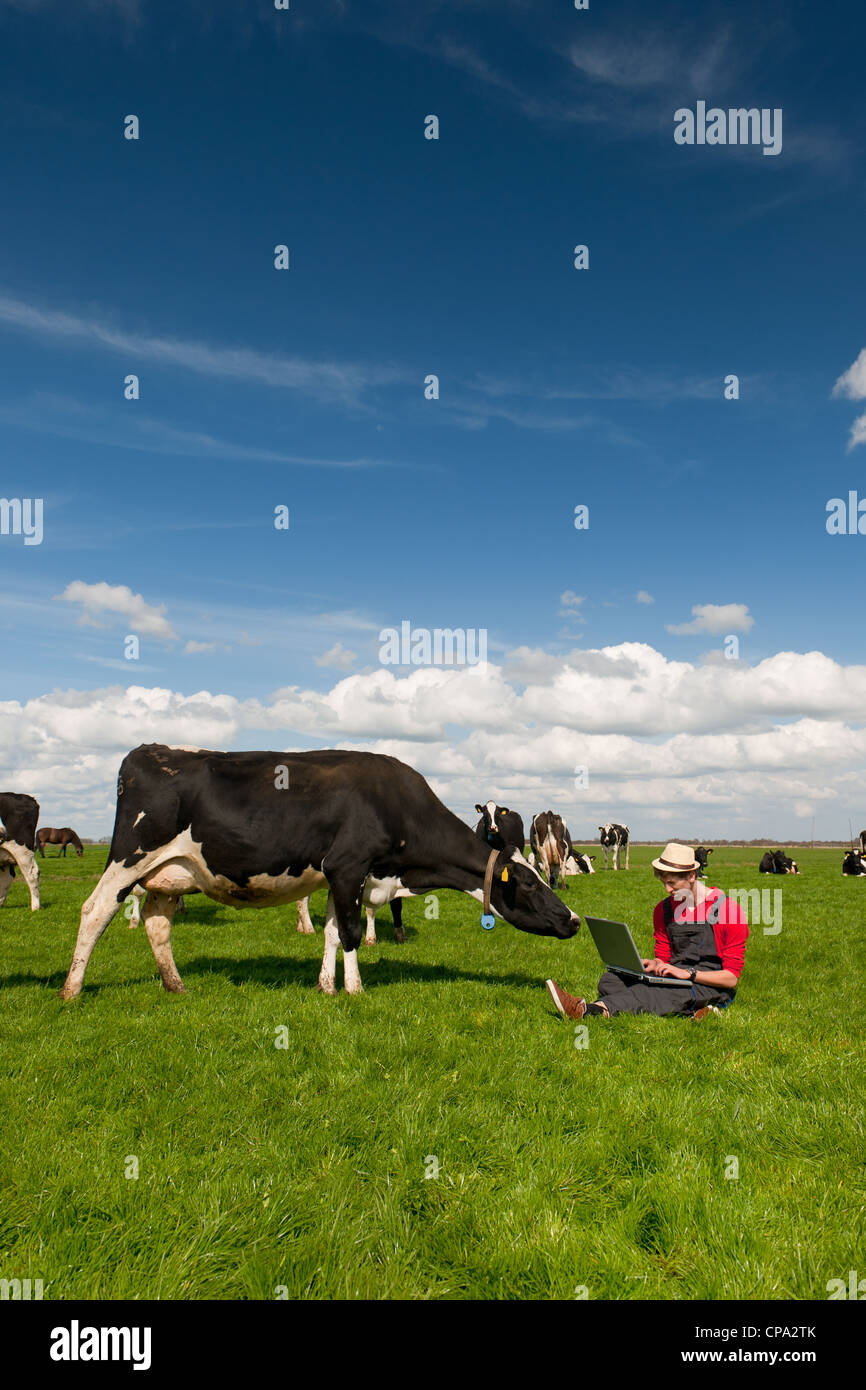 Giovane agricoltore lavora con il computer portatile nel campo di fattoria con in bianco e nero di mucche Foto Stock