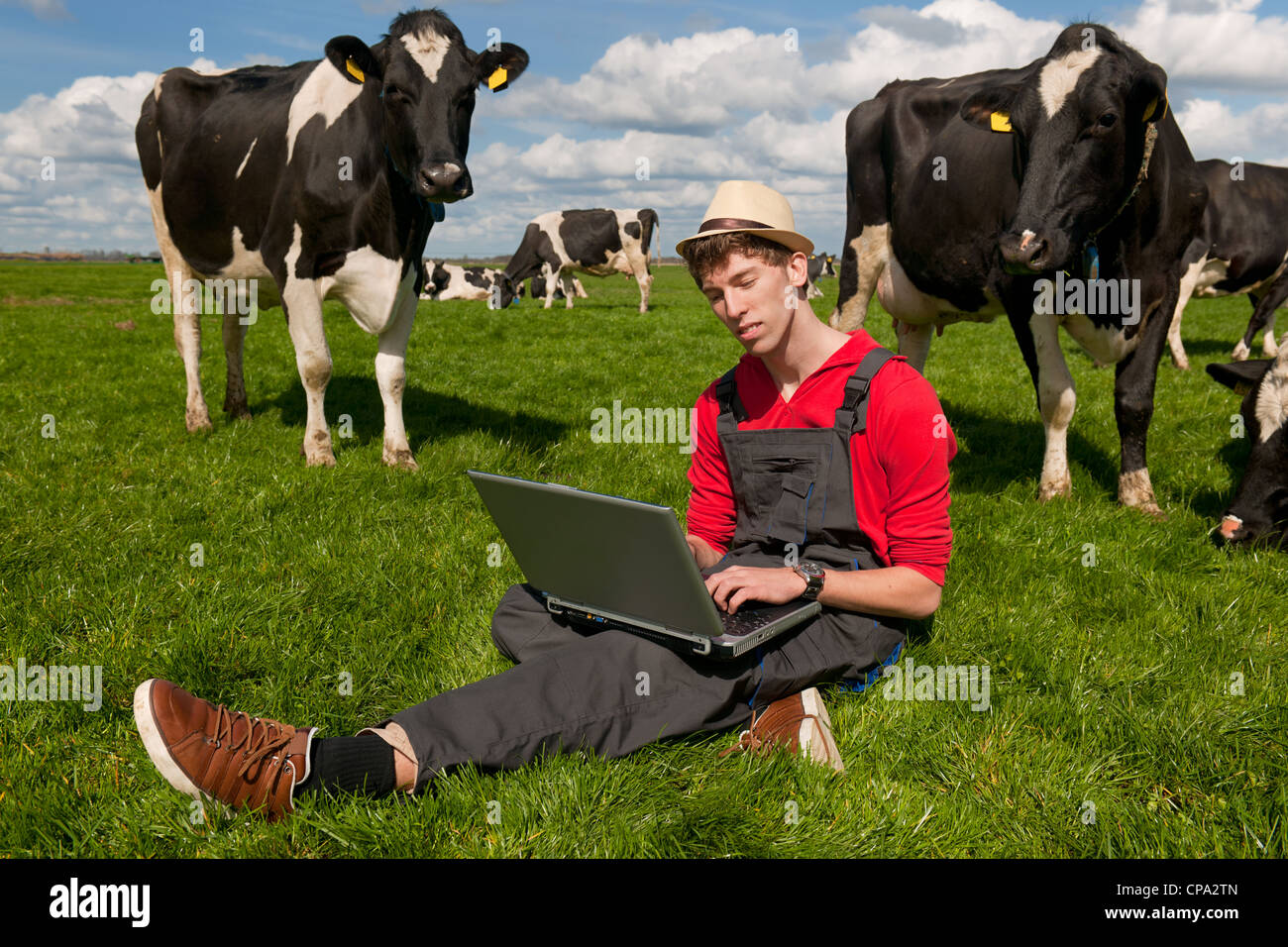 Giovane agricoltore lavora con il computer portatile nel campo di fattoria con in bianco e nero di mucche Foto Stock
