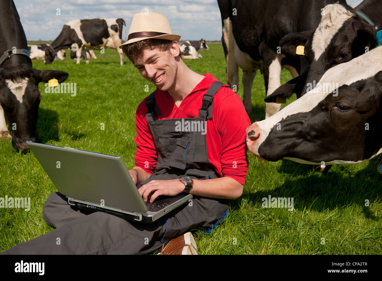 Giovane agricoltore lavora con il computer portatile nel campo di fattoria con in bianco e nero di mucche Foto Stock