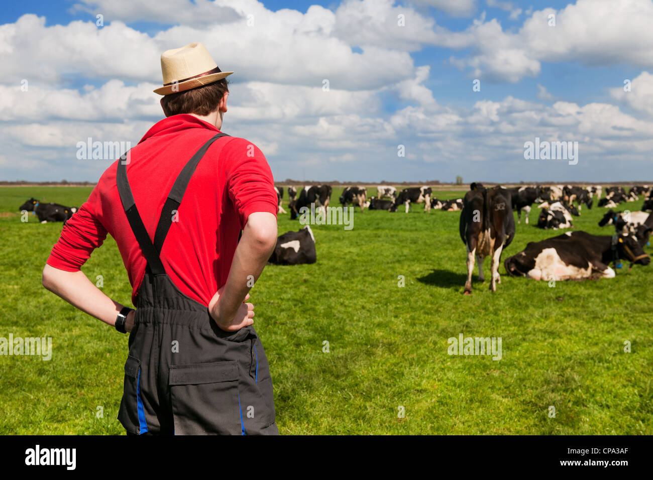 L'agricoltore è guardando il suo bestiame mucche nei prati Foto Stock