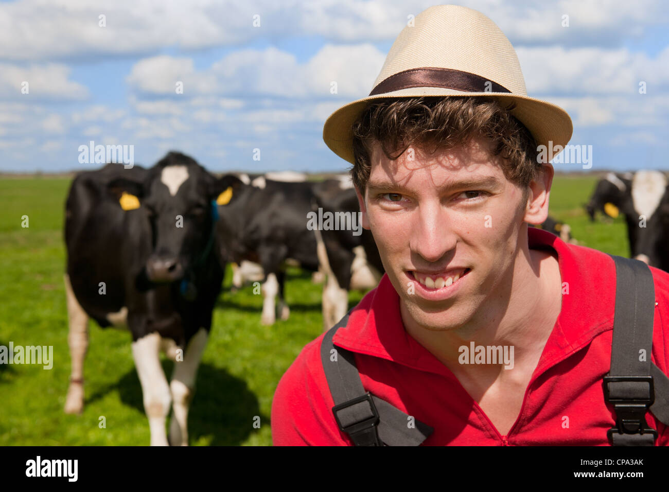 L'agricoltore è guardando il suo bestiame mucche nei prati Foto Stock
