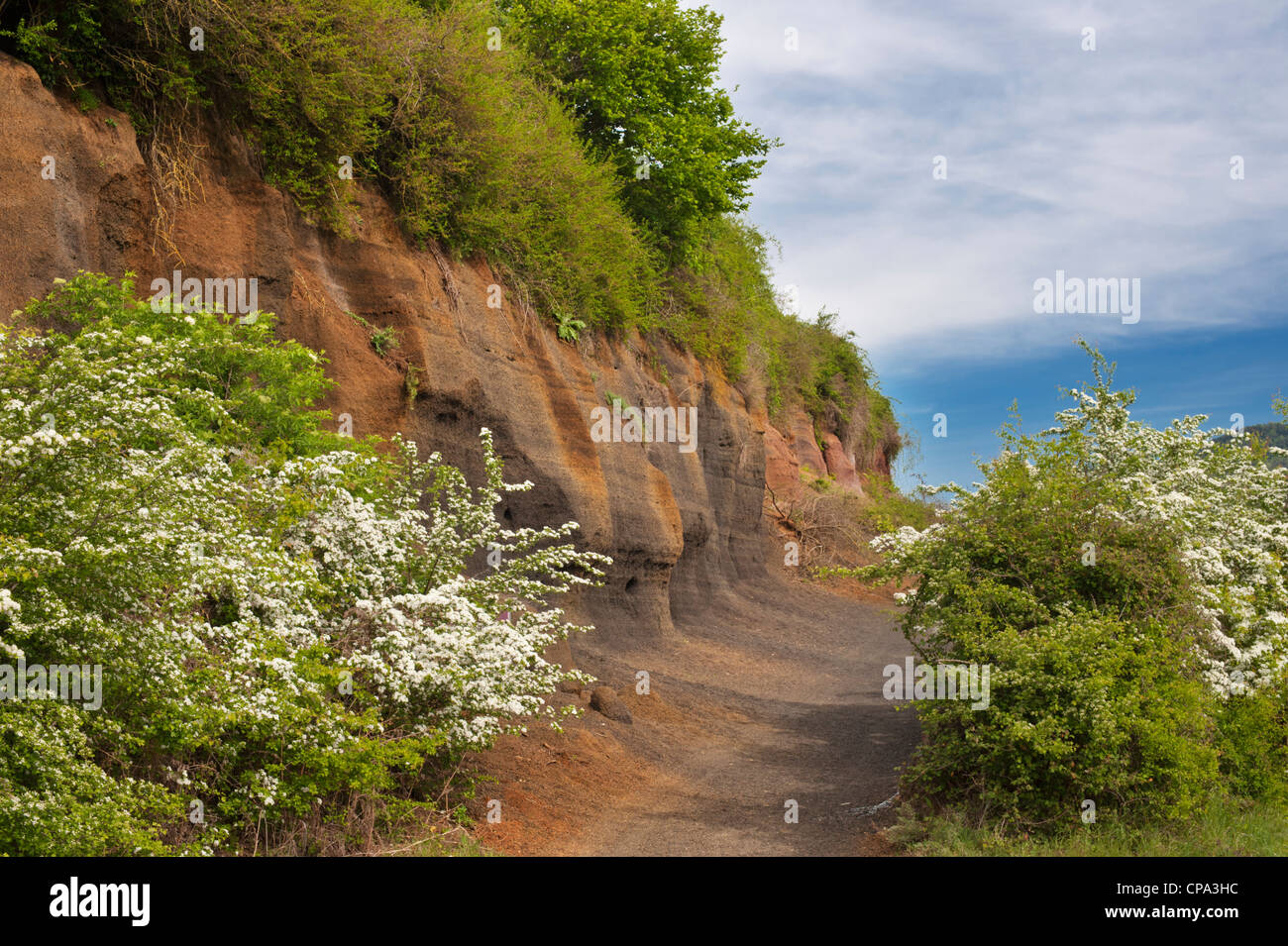 Depositi di tephra sul Vulcano Croscat, Garrotxa zona vulcanica, Catalogna, Spagna Foto Stock