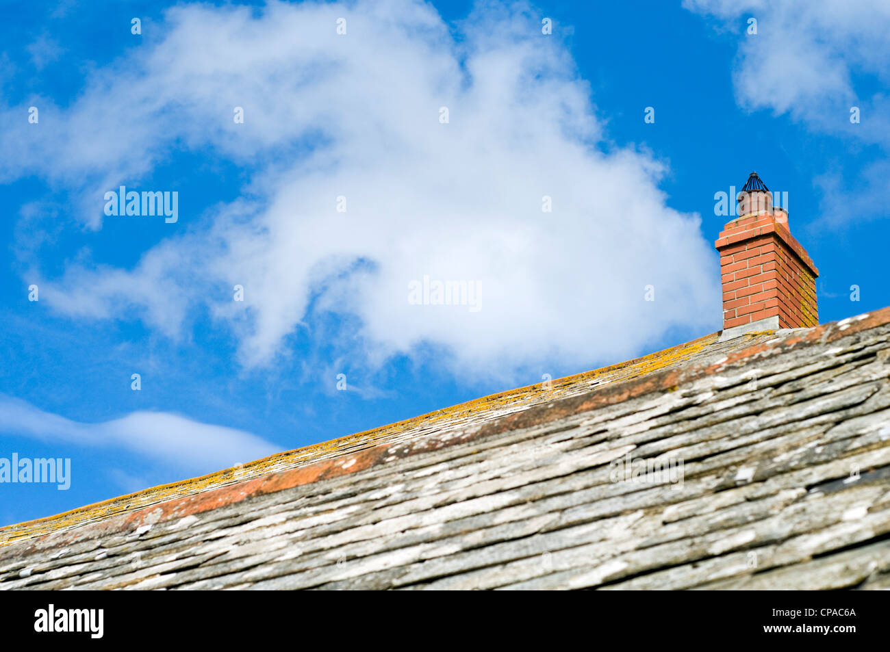 Il tetto di un cottage in Cornovaglia, England, Regno Unito Foto Stock