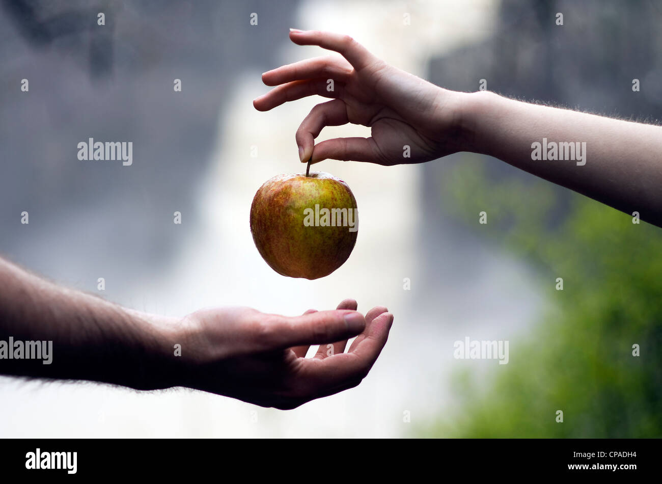 Eva ha scelto il frutto proibito e dà la mela di Adamo. Foto Stock