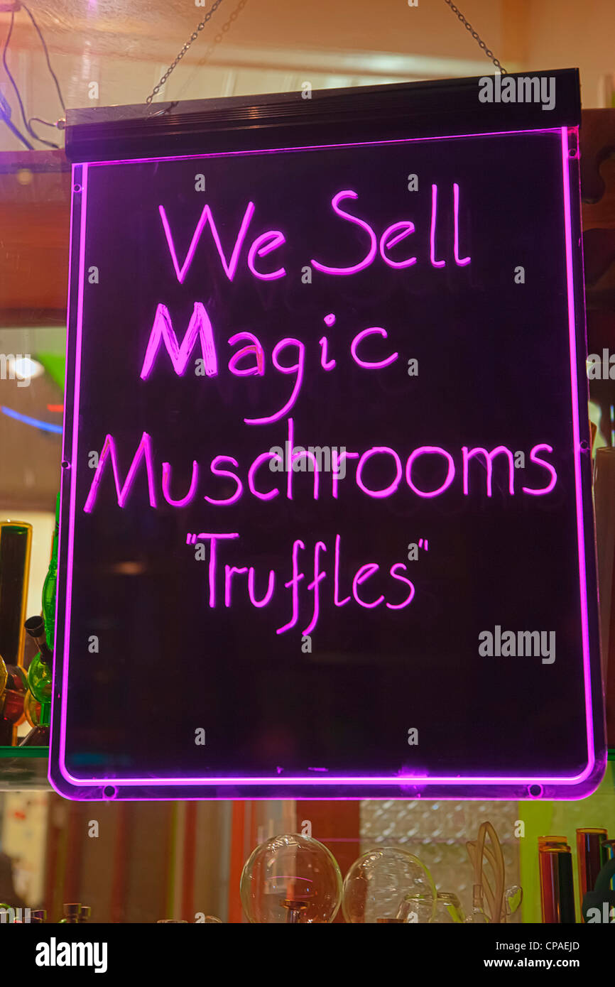 Cartello indicante "vendiamo i funghi magici tartufo' alla vetrina di un negozio, Amsterdam Foto Stock