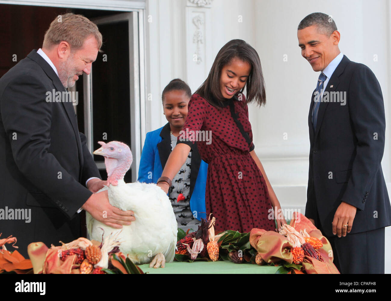 Il presidente Barack Obama perdona Liberty il ringraziamento della Turchia sulla North Portico della Casa Bianca nel novembre del 23,2011 Foto Stock