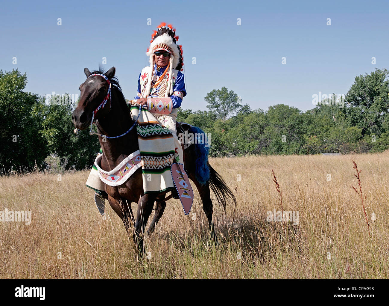 Stati Uniti d'America, Montana, Crow Agenzia. Crow capo, in piena regalia che indossa una guerra cofano, durante il corvo annuale Fiera di Crow agenzia, Montana. Foto Stock