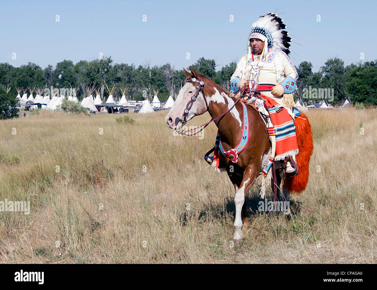 Stati Uniti d'America, Montana, Crow Agenzia. Crow capo, in piena regalia che indossa una guerra cofano, durante il corvo annuale Fiera di Crow agenzia, Montana. Foto Stock