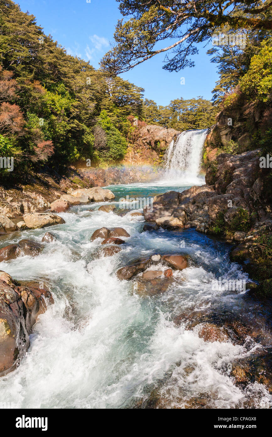 Tawhai Falls, sul fiume Whakapapanui, nel Parco Nazionale di Tongariro, Nuova Zelanda. Foto Stock