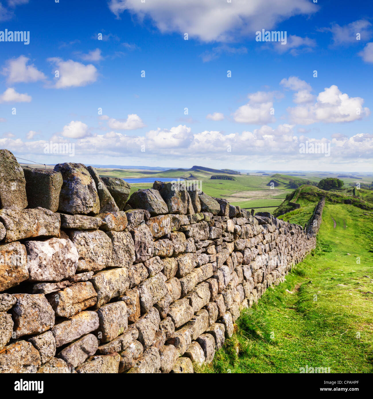 Asciugare la parete di pietra che eseguono lo stesso corso come il vallo di Adriano in Northumberland. Foto Stock