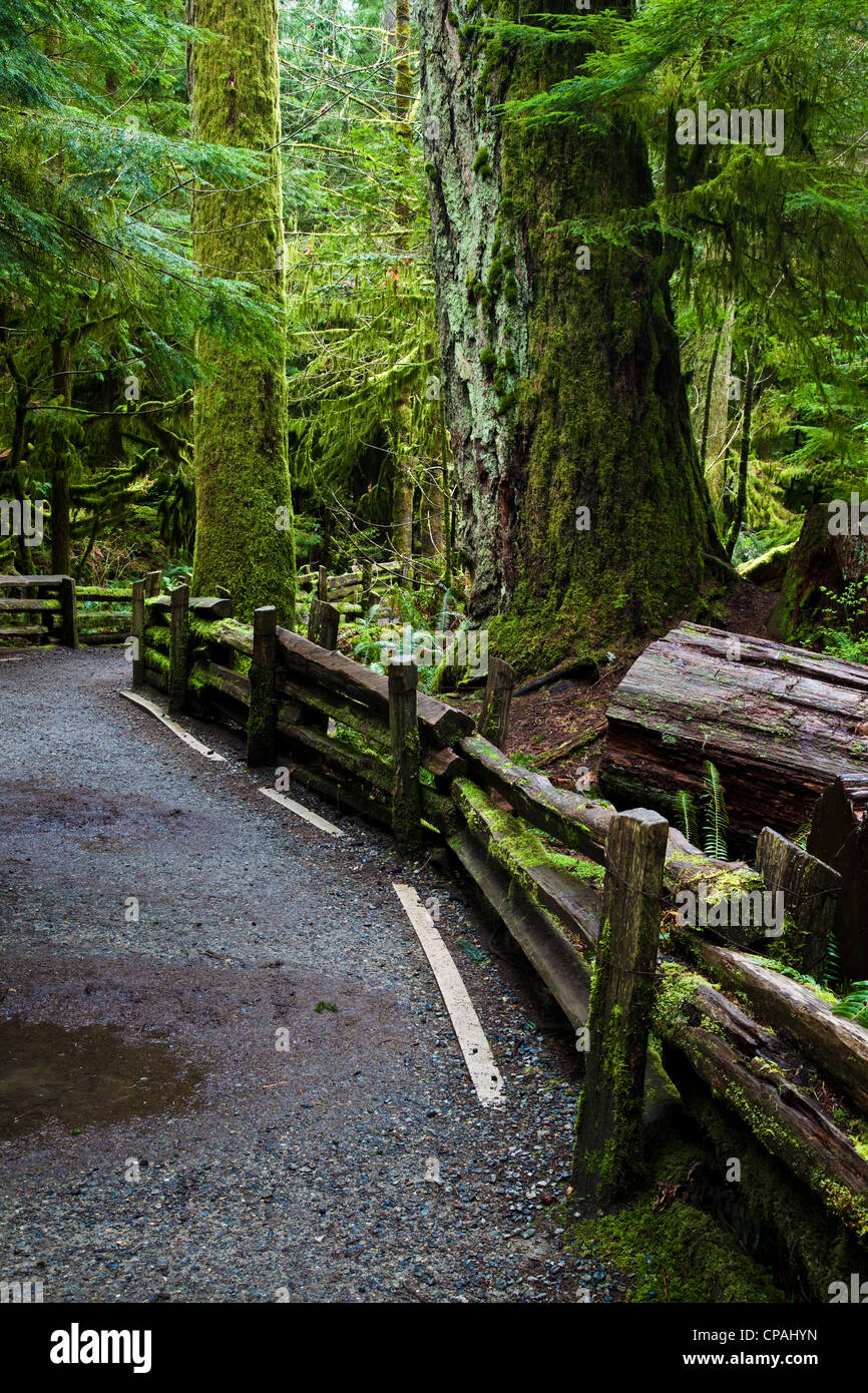 Un sentiero interpretative attraverso un parco sull'Isola di Vancouver, Canada Foto Stock