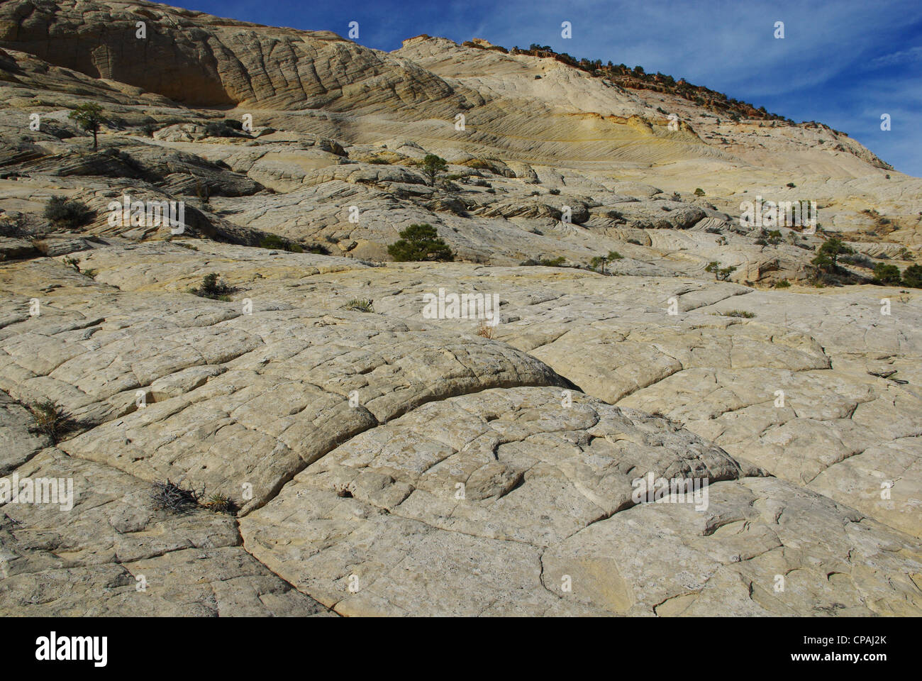 Layered rock hill, Grand Stair Escalante National Monument, Utah Foto Stock