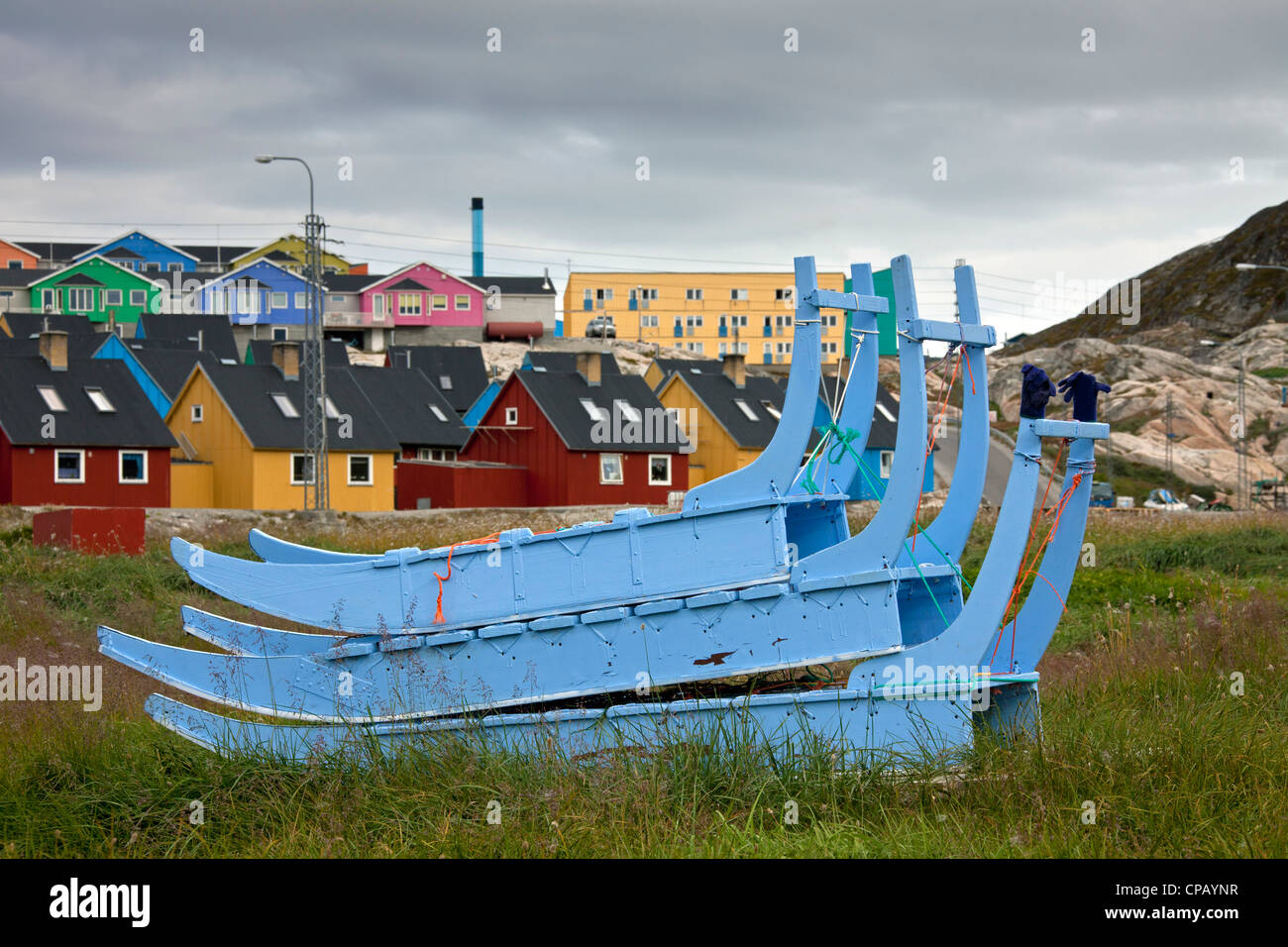 Sled Dog in estate case colorate a Ilulissat, Disko-Bay, West-Greenland, Groenlandia Foto Stock