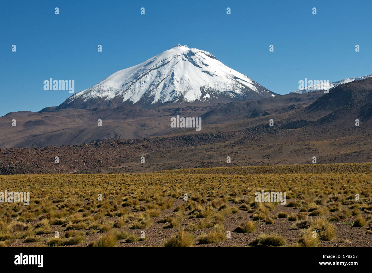 Nevato Cerro Sairecabur alta Altiplano Andes Cile Foto Stock