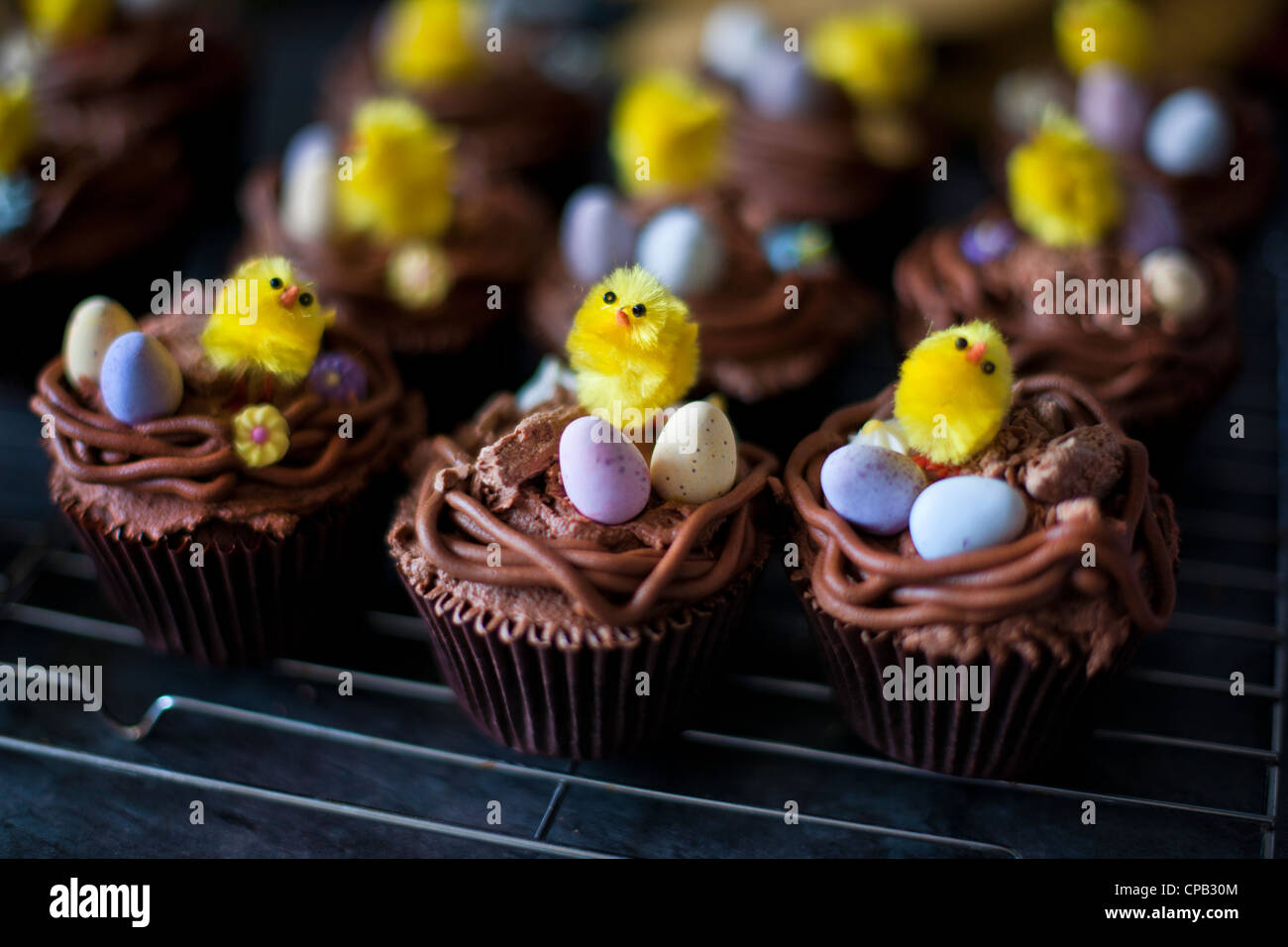 Uovo di Pasqua tortine con piccolo giallo pulcini sul raffreddamento per rack Foto Stock