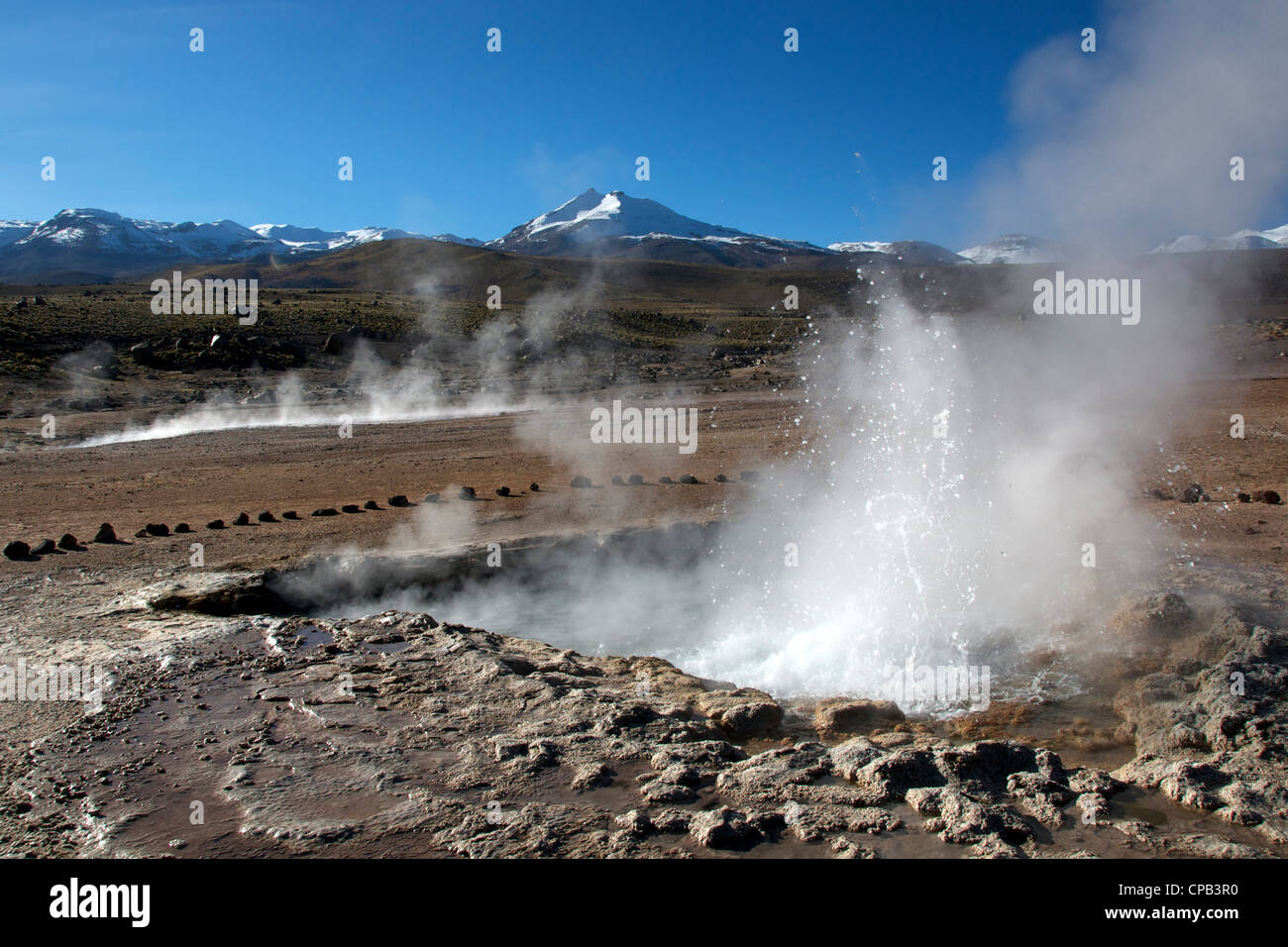 Piscina termale Tatio Geyser Cile Foto Stock