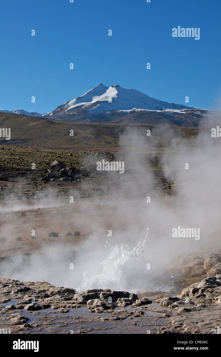Piscina termale Tatio Geyser Cile Foto Stock