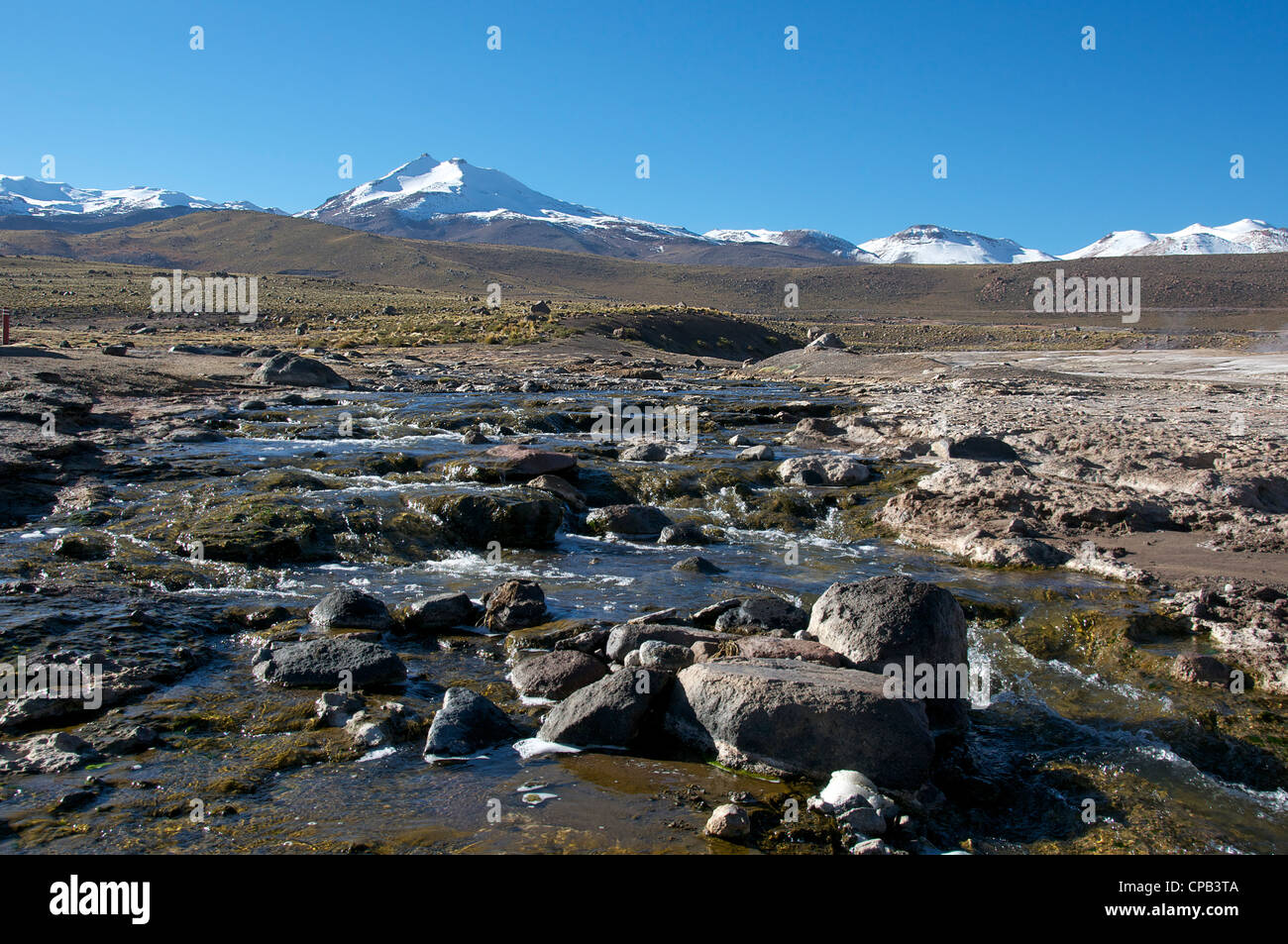 Stream Tatio Geyser Cile Foto Stock