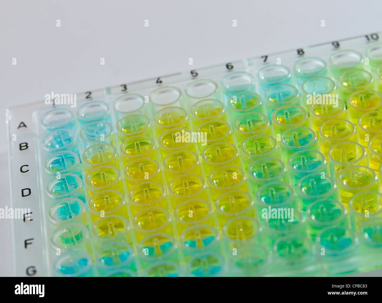 Una piastra a 96 pozzetti usati in campo medico e gli esami chimici al sondaggio di PCR in tempo reale e altri test di laboratorio Foto Stock