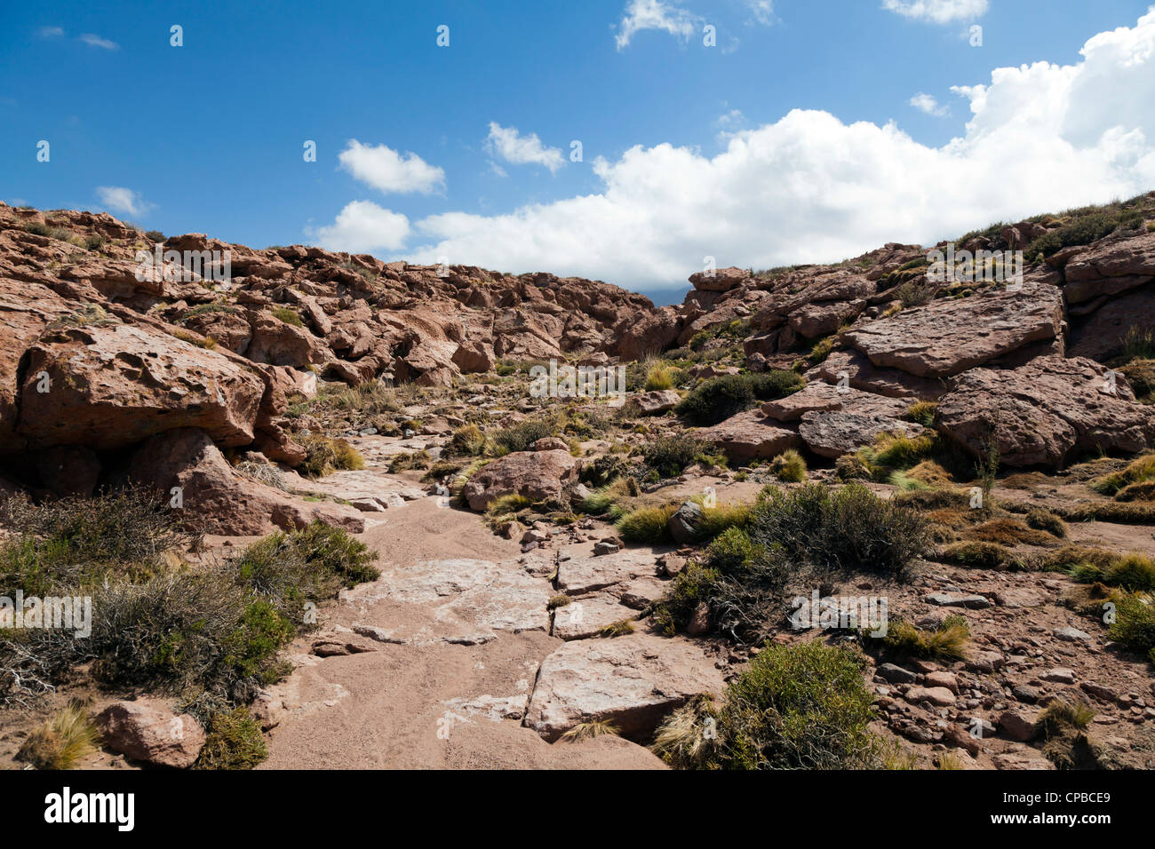 Vista del nacimiento Highlands, San Pedro de Atacama, Cile Foto Stock