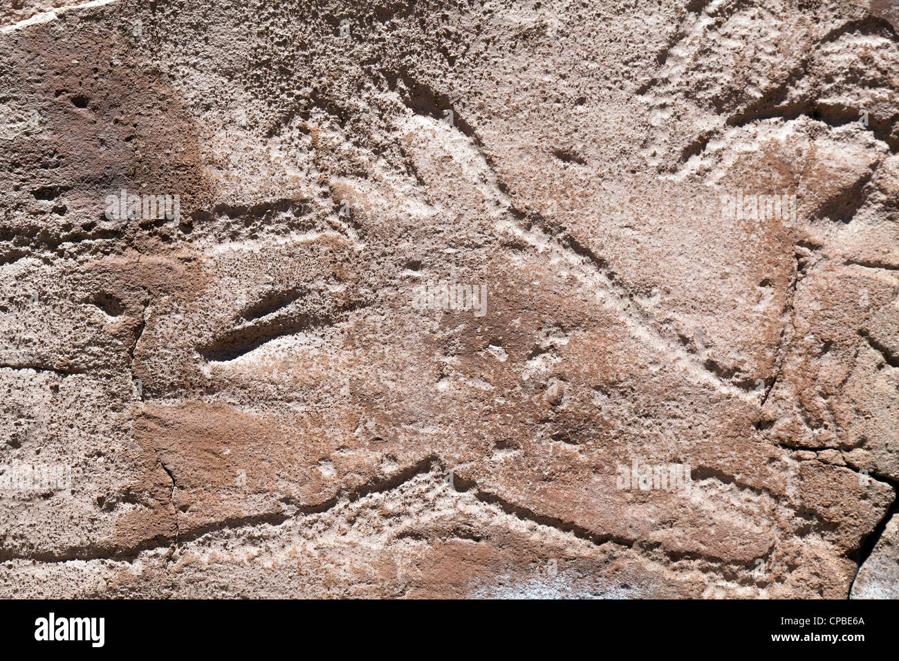 Petroglyph di llama nel telecomando Quezala burrone, vicino Talabra, il Deserto di Atacama, Cile Foto Stock